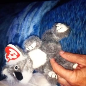 Brisbane ty beanie baby